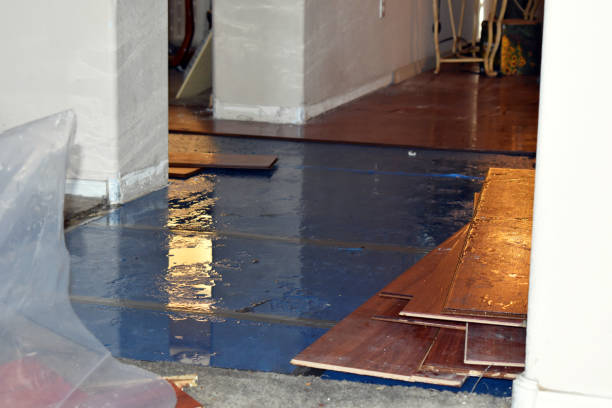 Professional Water Damage technician working in Grove City, FL