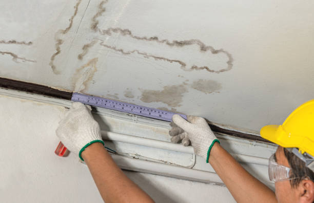 Reliable Water Damage contractor in Grove City, FL by Water Damage Irwin